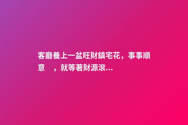 客廳養上一盆旺財鎮宅花，事事順意，就等著財源滾滾來吧！